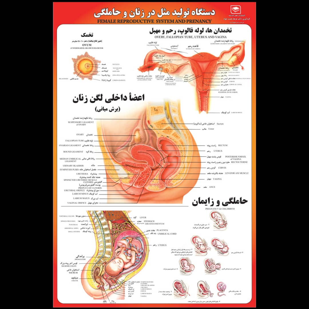 پوستر آموزشی