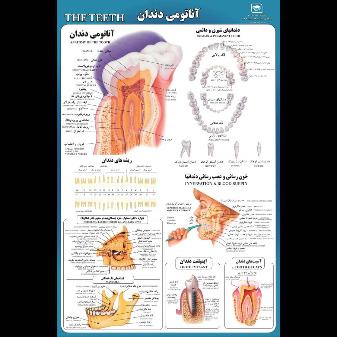 پوستر آموزشی