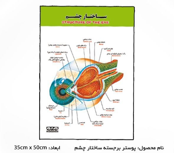 پوستر آموزشی