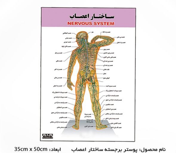 پوستر آموزشی